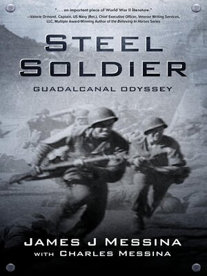 cover image of Steel Soldier